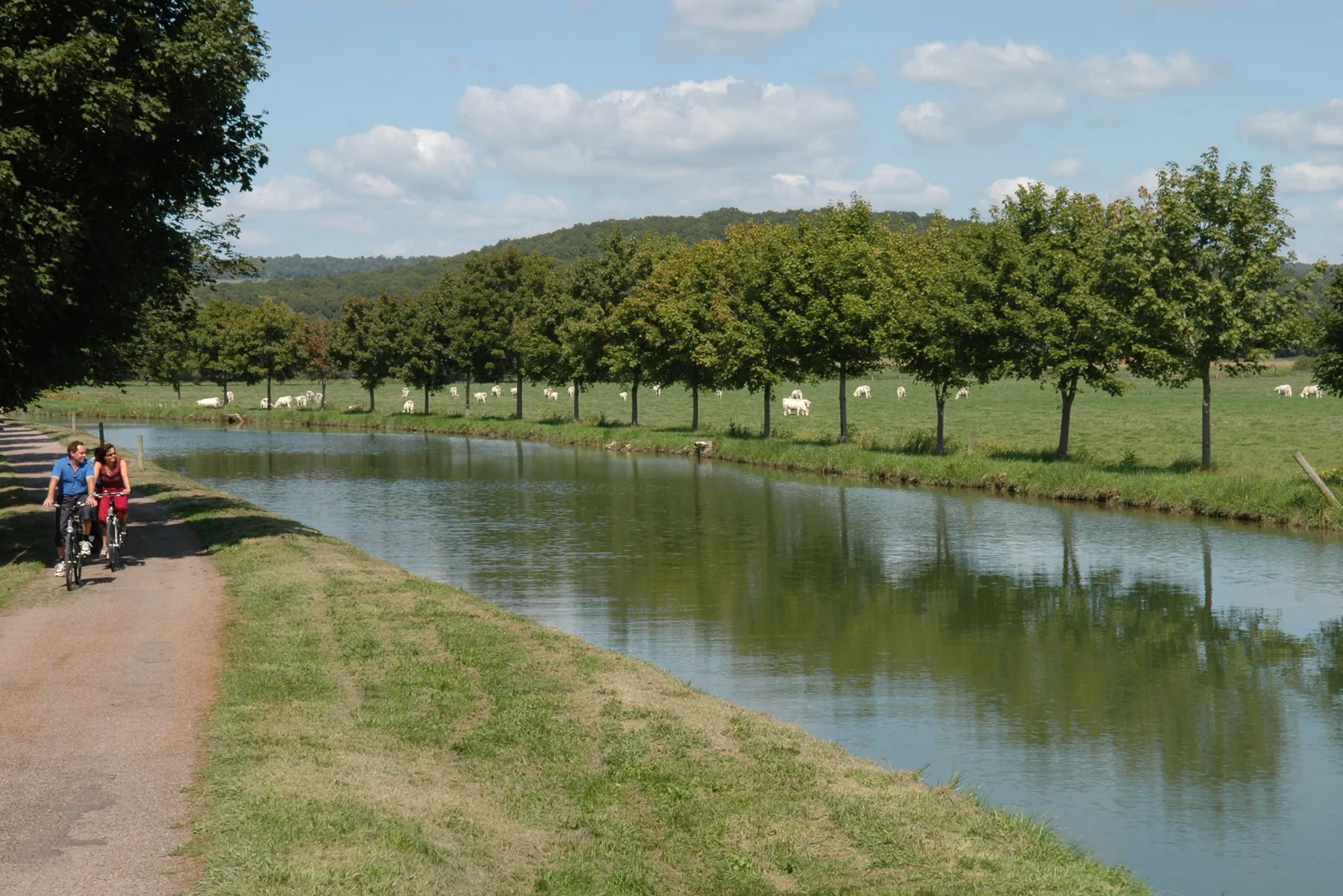 Chemin de halage le long du canal de Bourgogne